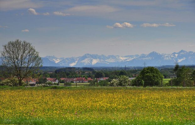 Allgäu im Frühling mit Alpenkette